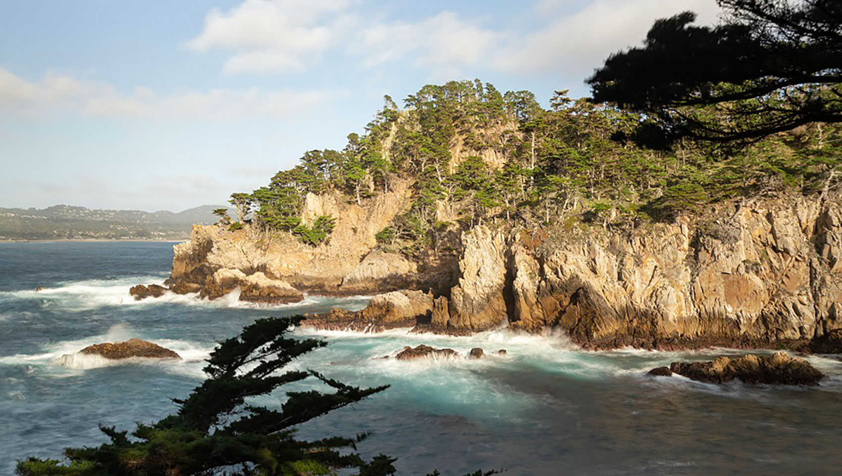 point lobos