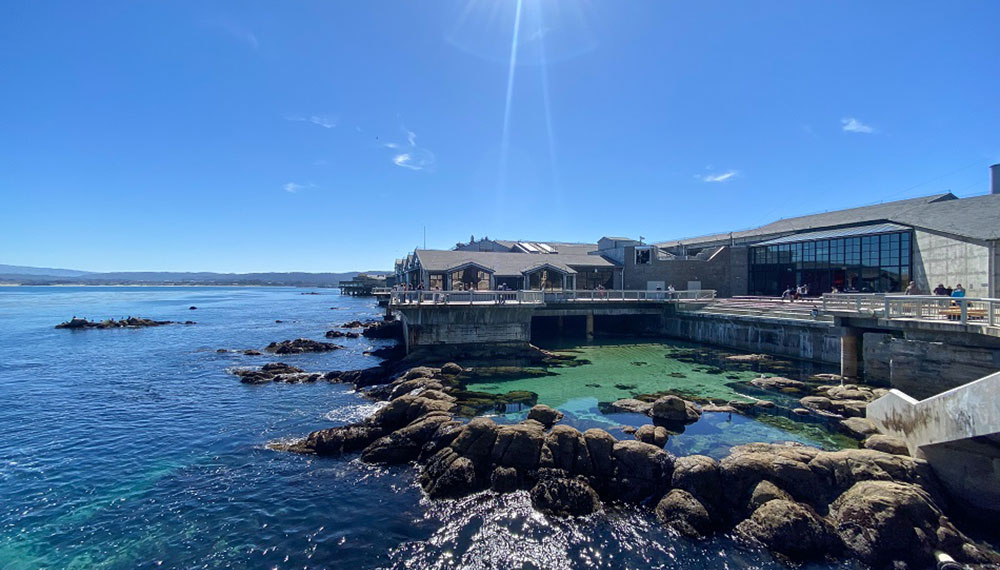 Monterey Bay Aquarium