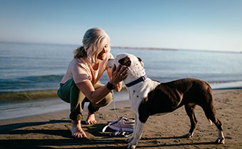 dog walk on the beach