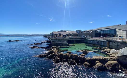 view of ocean