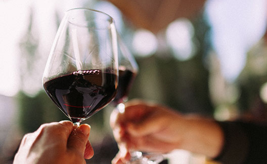 hands holding up wine glasses